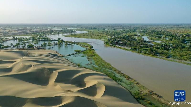 江河奔腾看中国丨塔里木河：沙漠中的绿色走廊