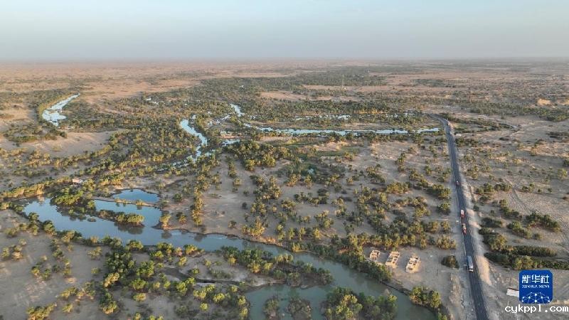 江河奔腾看中国丨塔里木河：沙漠中的绿色走廊