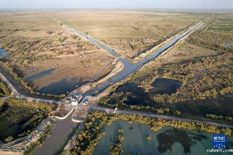 江河奔腾看中国丨塔里木河：沙漠中的绿色走廊
