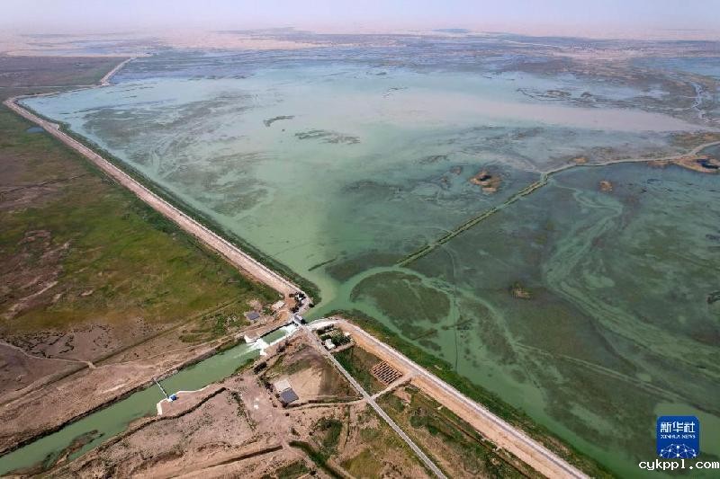 江河奔腾看中国丨塔里木河：沙漠中的绿色走廊