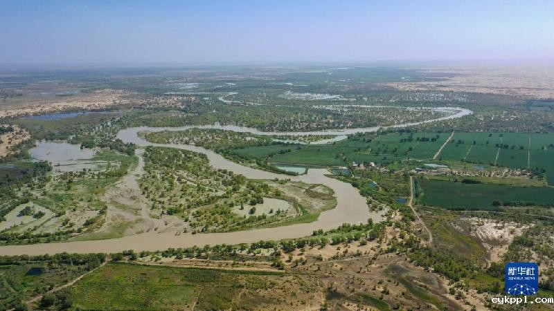 江河奔腾看中国丨塔里木河：沙漠中的绿色走廊