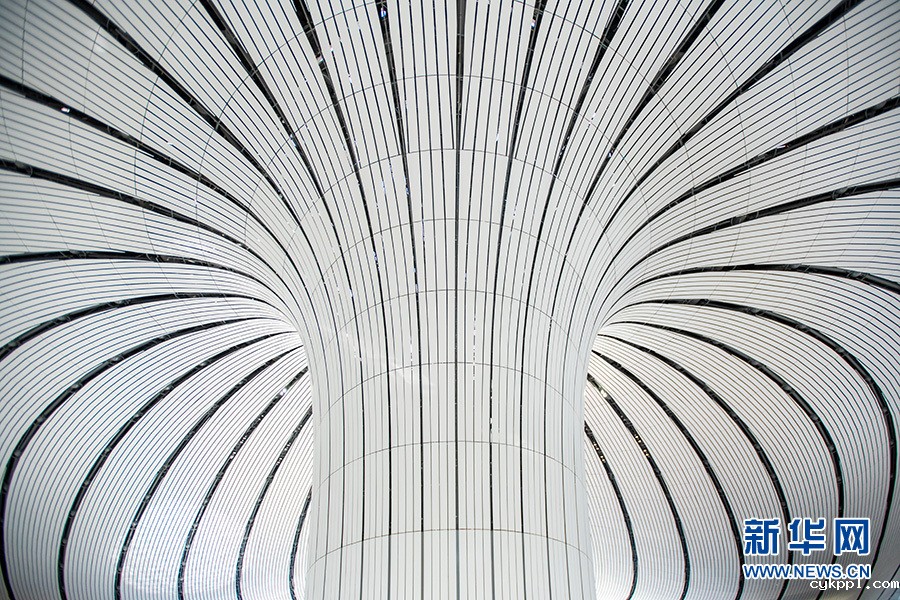 【光影轻课堂】如何运用线条增加摄影美感？