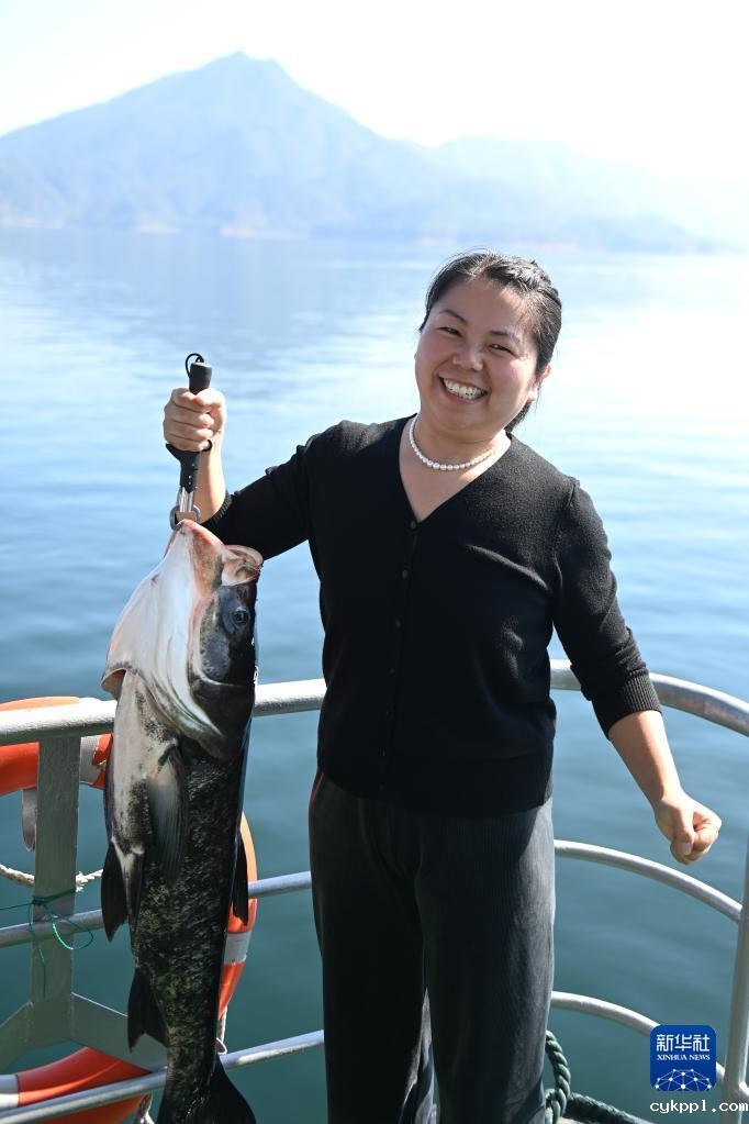 浙江:千岛湖巨网捕鱼迎丰收
