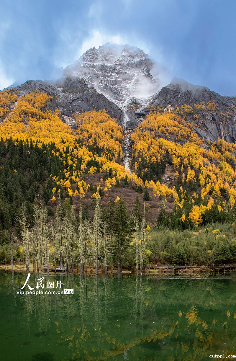 四姑娘山景区秋色如画 四姑娘山景区秋色如画