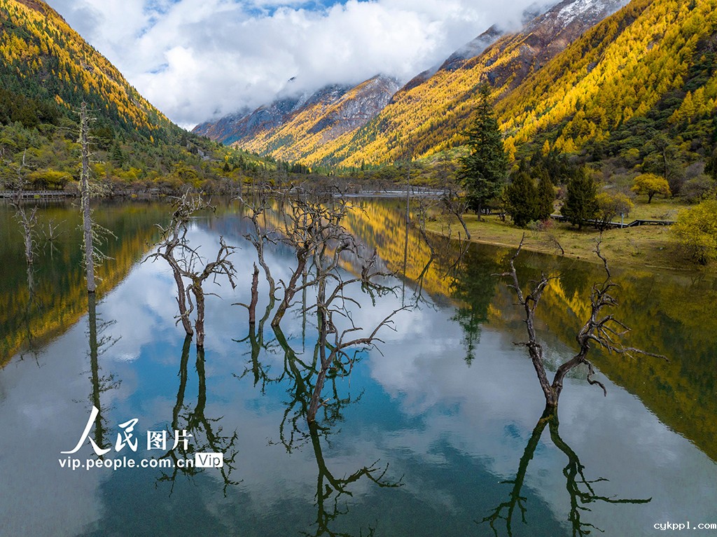四姑娘山景区秋色如画 四姑娘山景区秋色如画