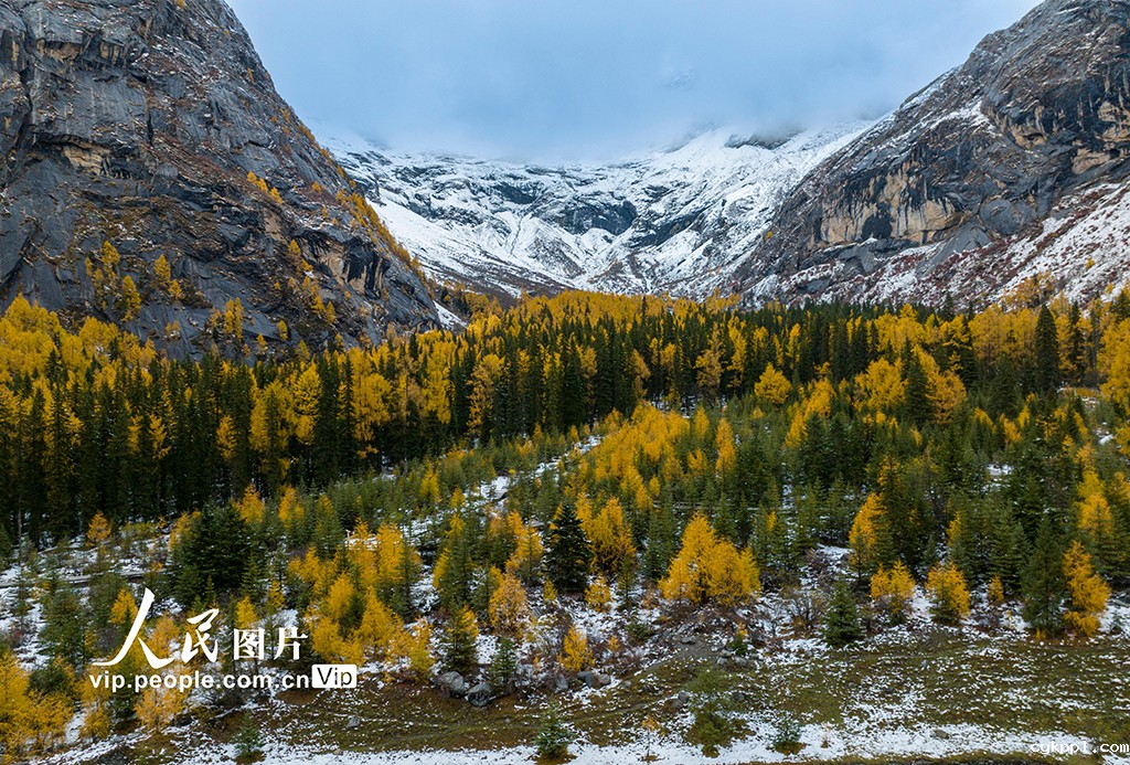四姑娘山景区秋色如画 四姑娘山景区秋色如画