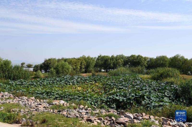 大美湿地城市丨合肥