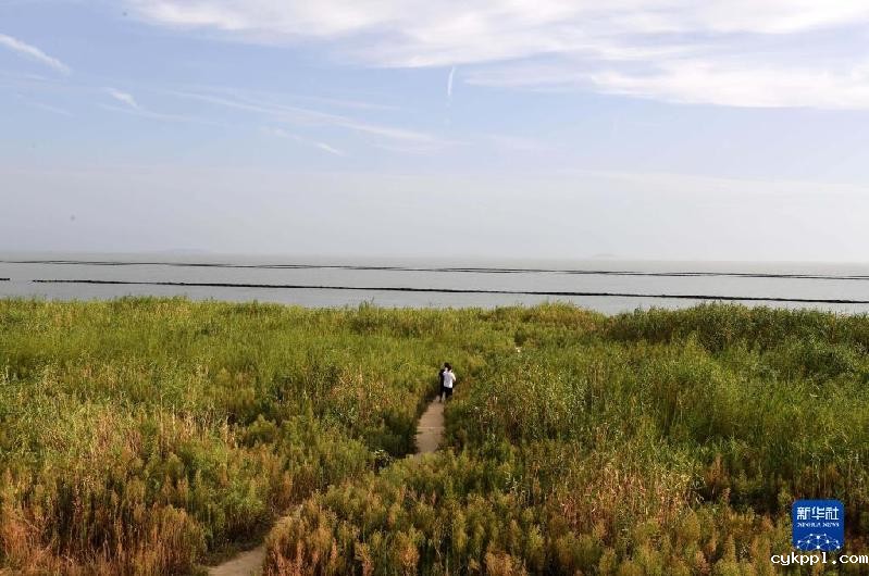 大美湿地城市丨合肥