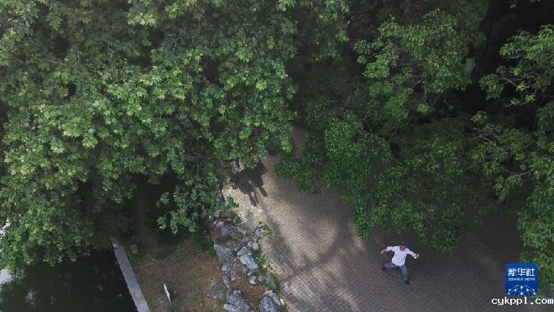 大美湿地城市丨合肥