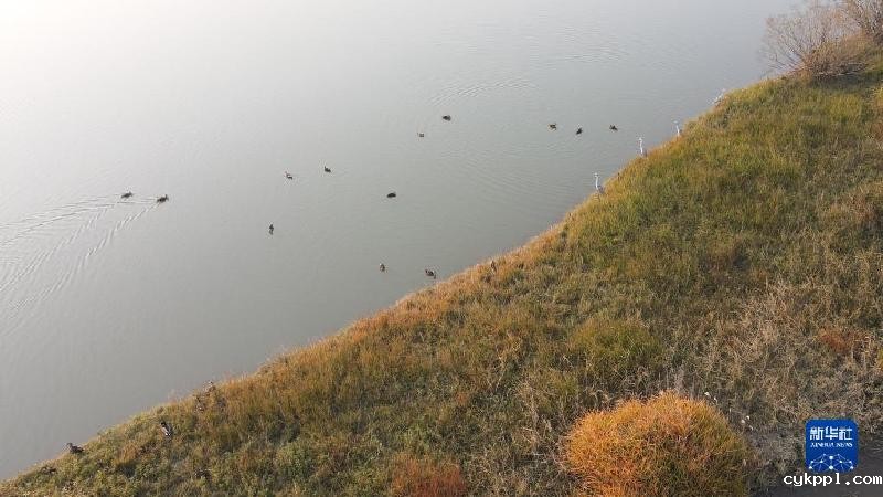 大美湿地城市丨合肥