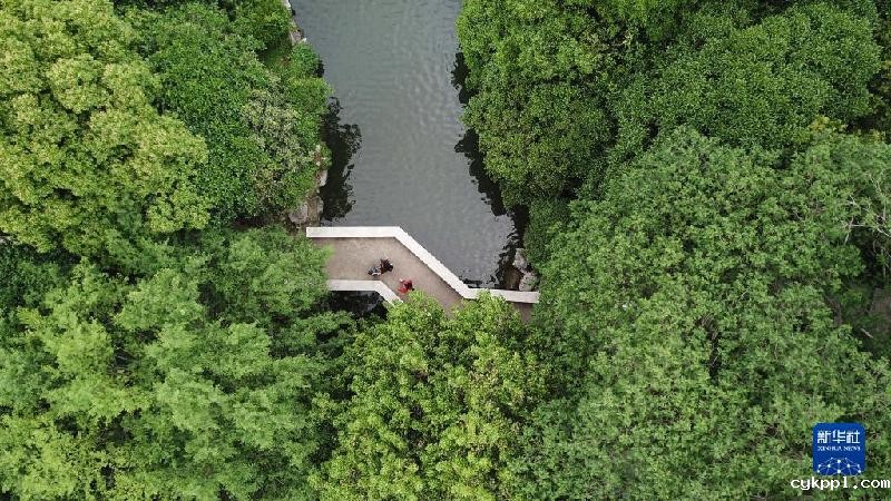 大美湿地城市丨合肥