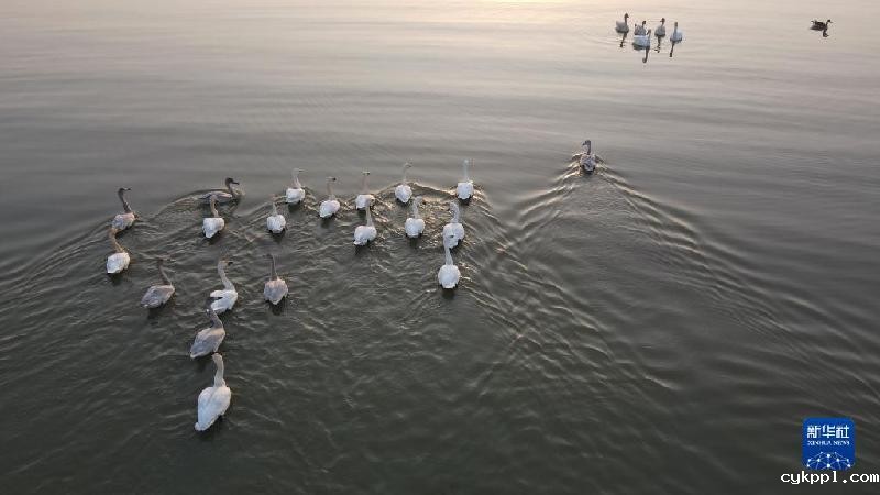 大美湿地城市丨合肥