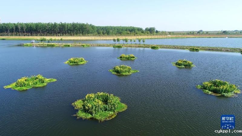 大美湿地城市丨合肥