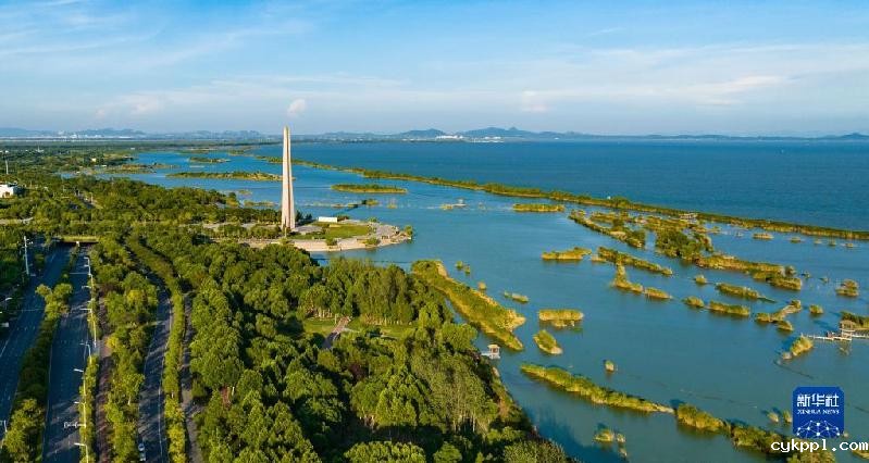 大美湿地城市丨合肥