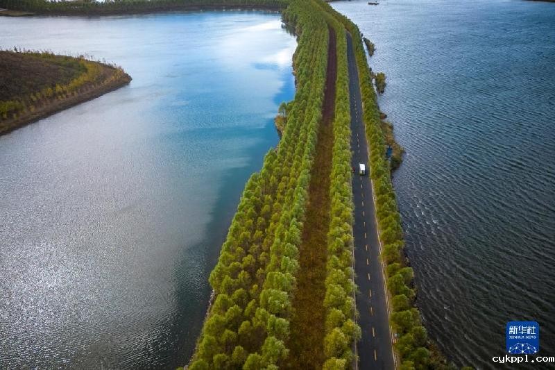 大美湿地城市｜哈尔滨