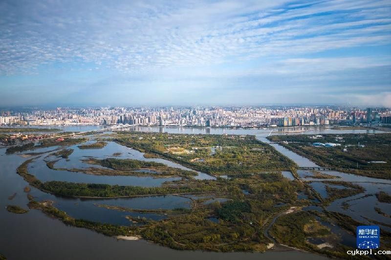 大美湿地城市｜哈尔滨
