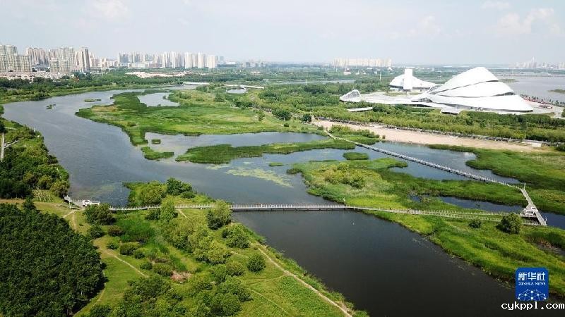 大美湿地城市｜哈尔滨