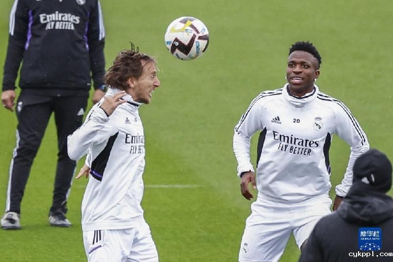 卡塔尔世界杯·妙语连珠|“足球可以很美丽,也可以很残酷”