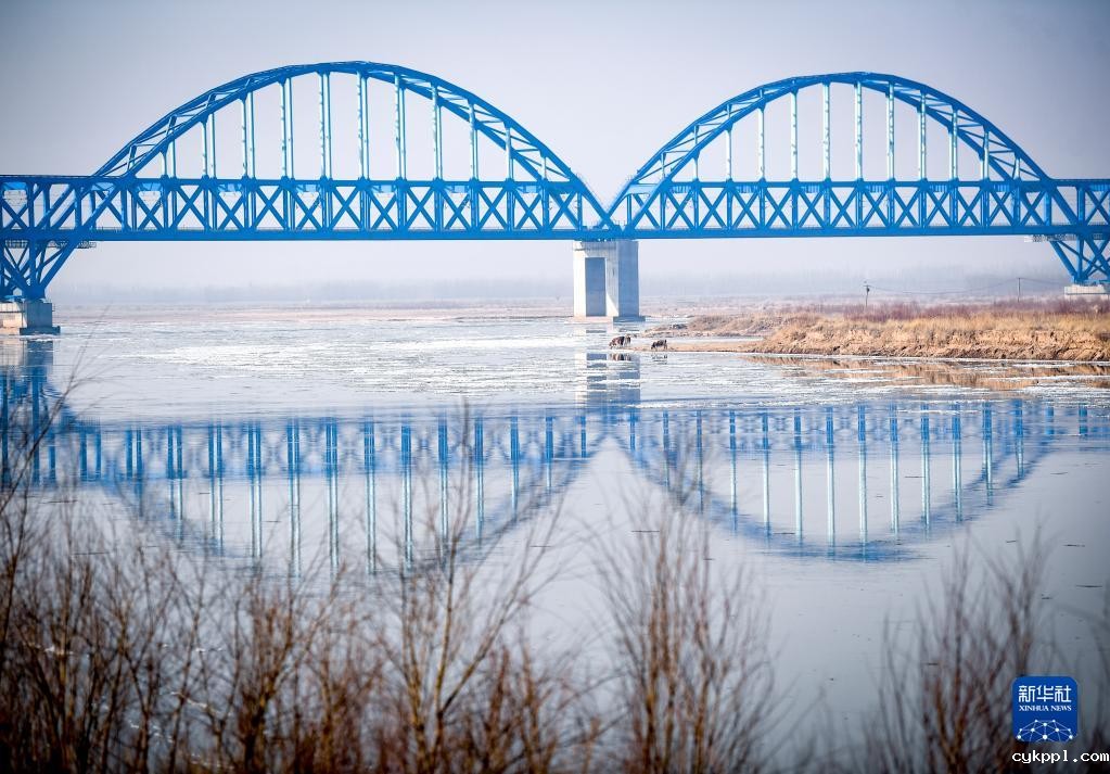 冬日黄河景色美