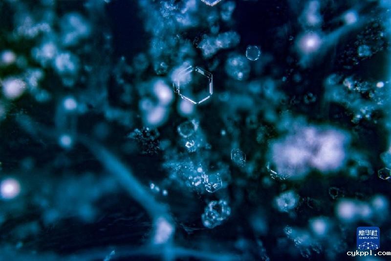 西藏岗布错：冬日蓝冰奇观