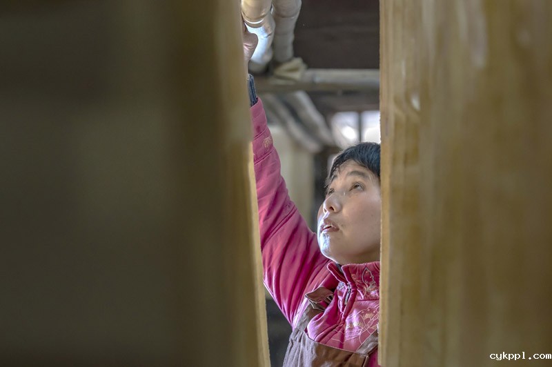 赶制年画迎新春 赶制年画迎新春