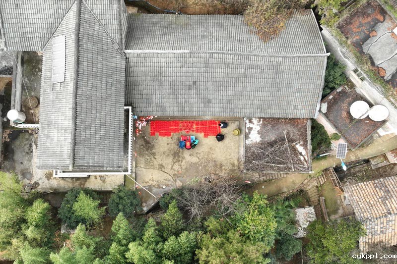 志愿服务迎新年