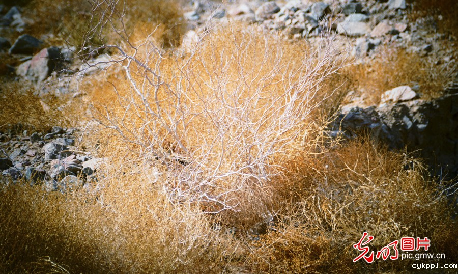 甘肃：探访祁连山——高台马营河大峡谷、小泉丹霞