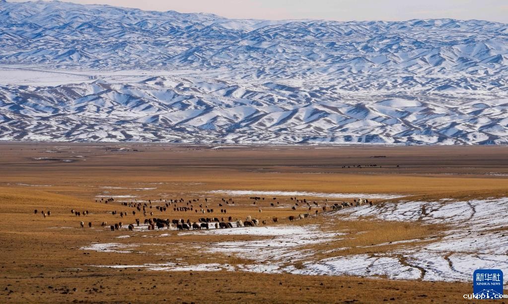 新华全媒+丨新疆四季:冬——“冰火”二重奏