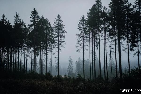 适马50mmF1.4DGDNArt发布,经典重塑,标准新生!