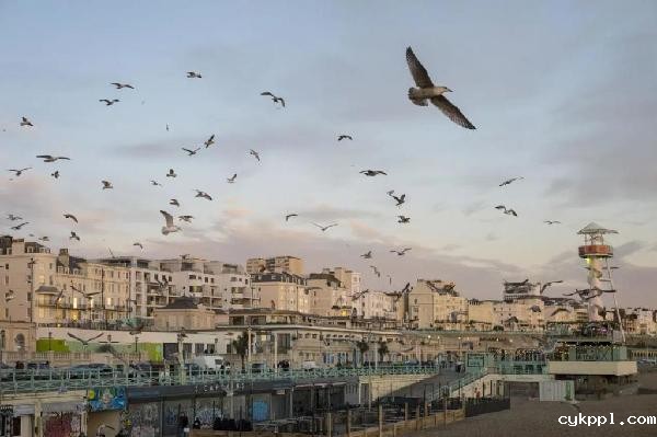 适马50mmF1.4DGDNArt发布,经典重塑,标准新生!