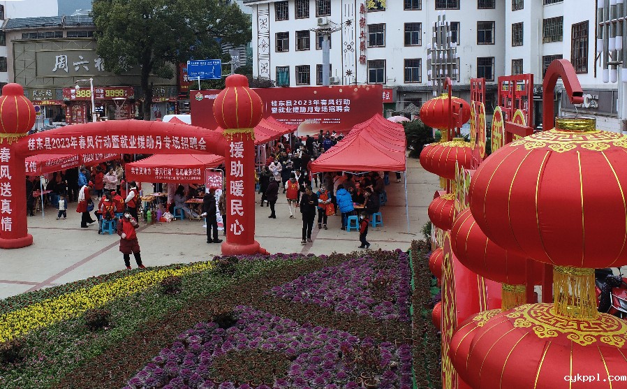 就业“春风”暖万家