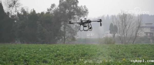 你好，新农人 | 飞手掌控无人机 科技催生“新农人”