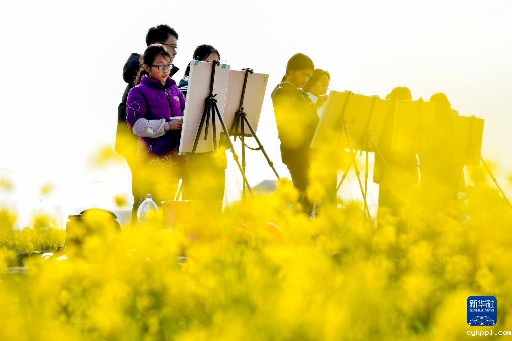 江西樟树：油菜花开春意浓