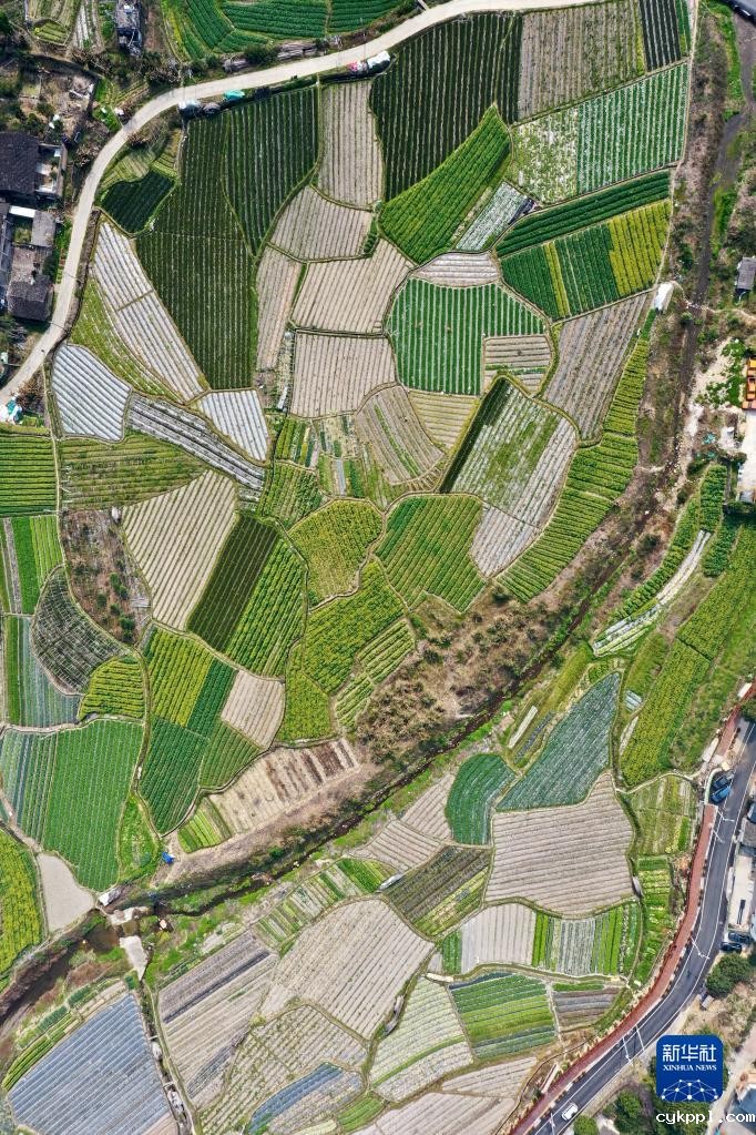 春耕大地上的画卷