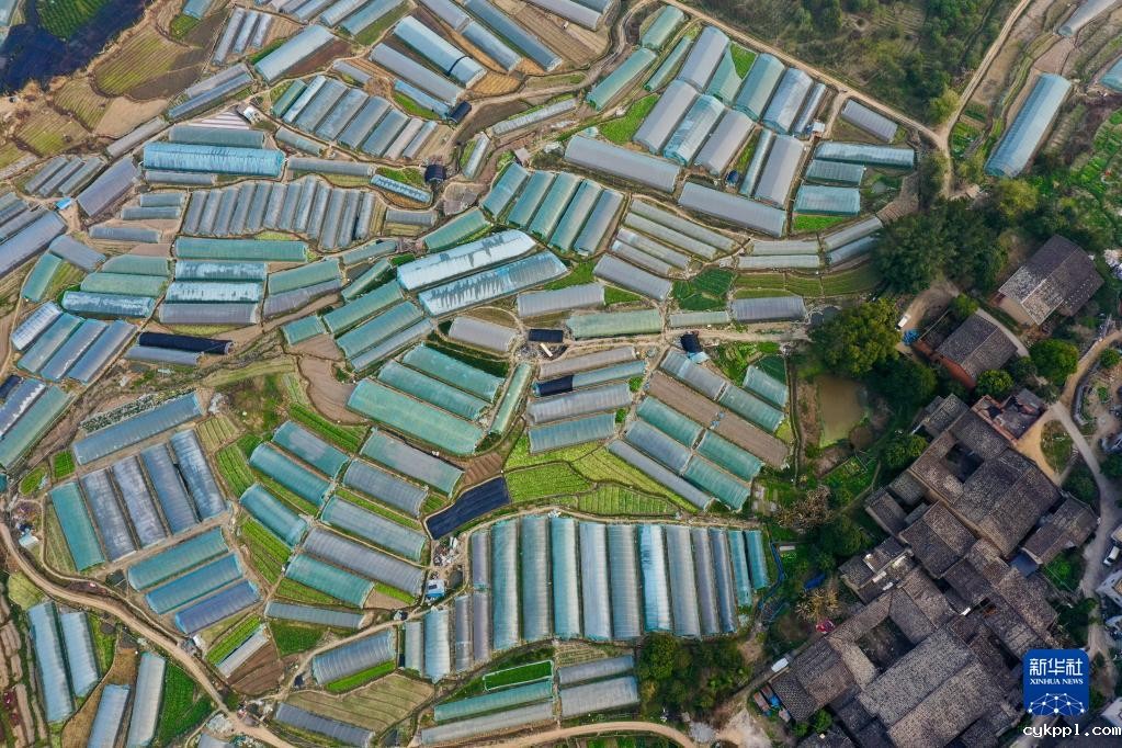 春耕大地上的画卷