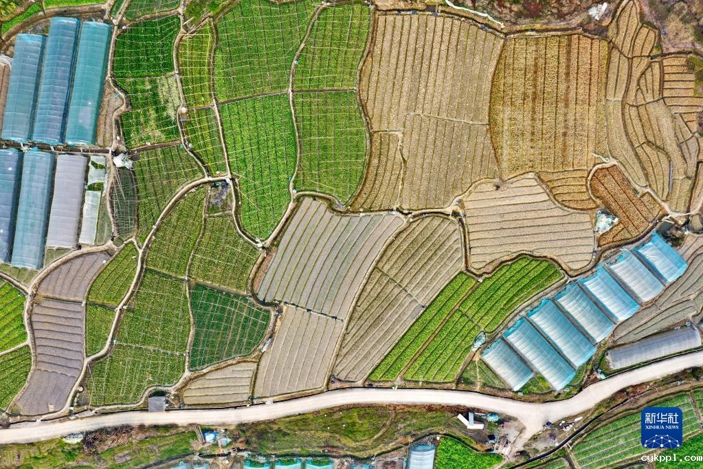 春耕大地上的画卷