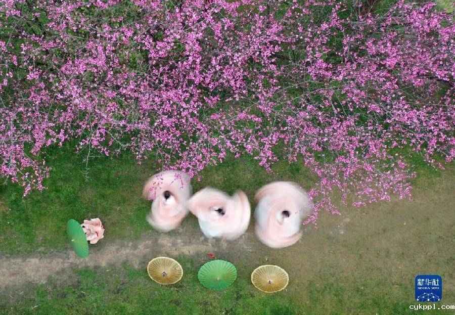 湖南张家界:春花烂漫