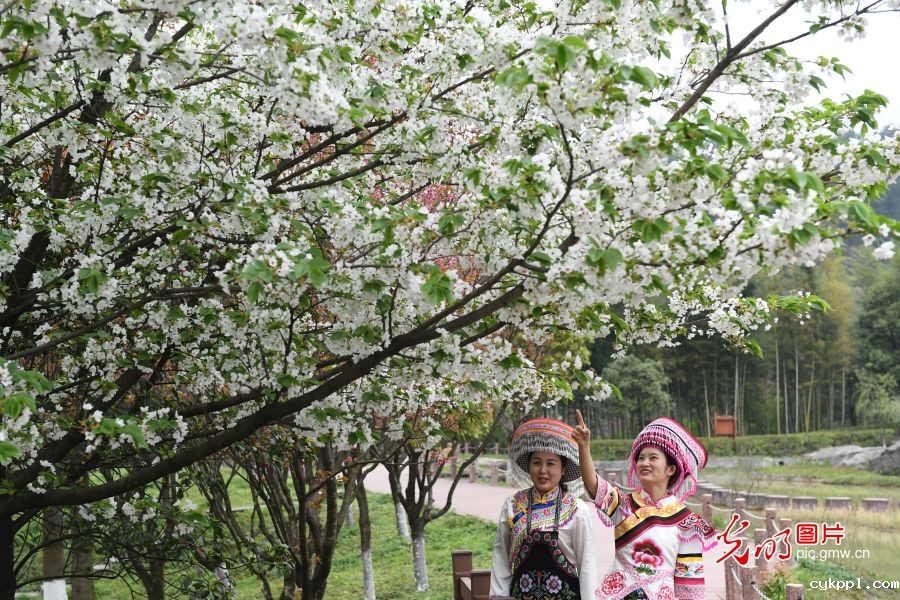 重庆万盛:石林风光奇特 吸引游客参观 重庆万盛:石林风光奇特 吸引游客参观