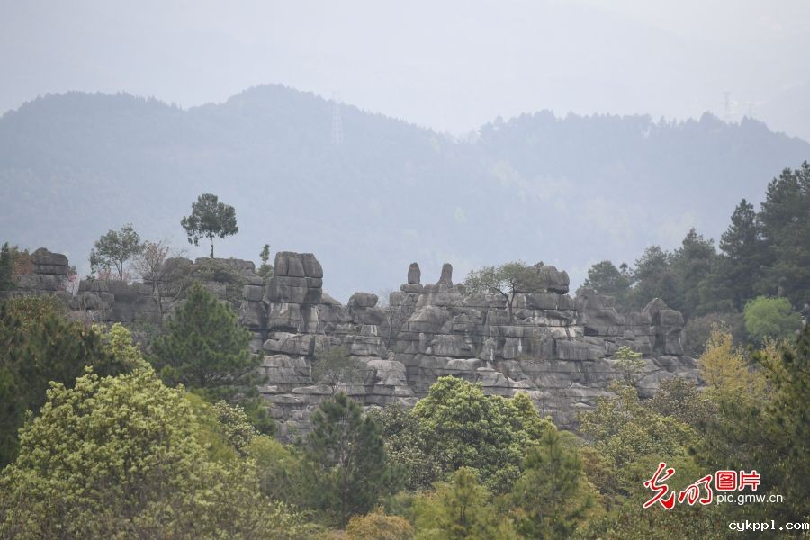 重庆万盛:石林风光奇特 吸引游客参观 重庆万盛:石林风光奇特 吸引游客参观