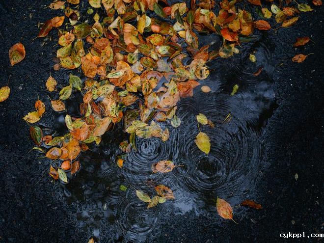 适马新品丨三镜齐发，17mm、50mm、23mm灵动登场！