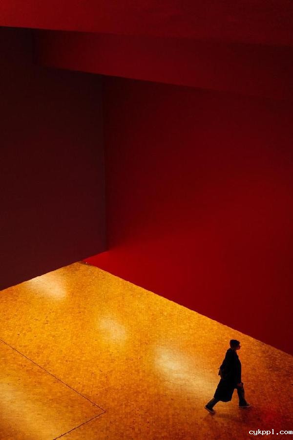 适马新品丨三镜齐发，17mm、50mm、23mm灵动登场！