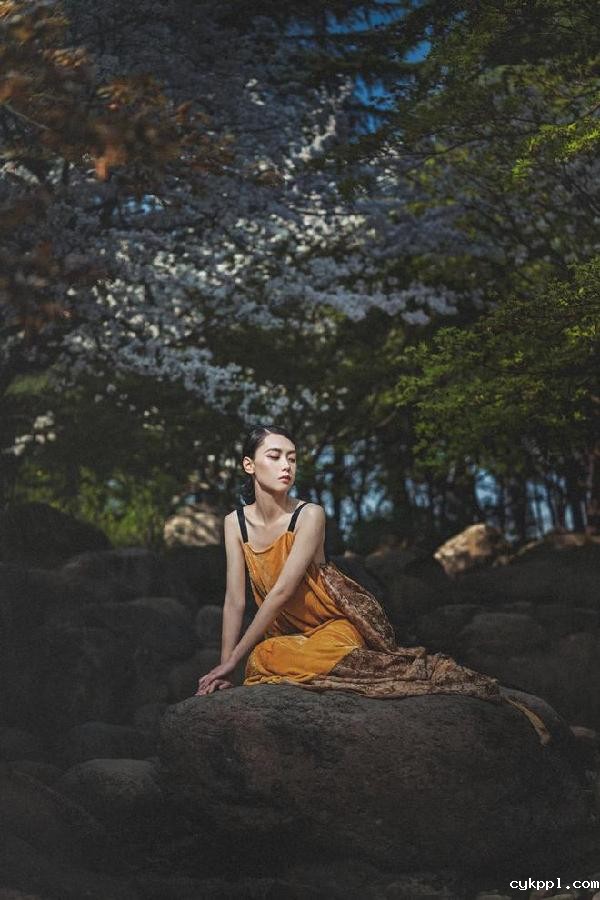 适马新品丨三镜齐发，17mm、50mm、23mm灵动登场！