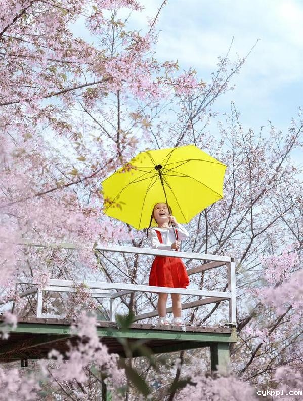 适马新品丨三镜齐发，17mm、50mm、23mm灵动登场！