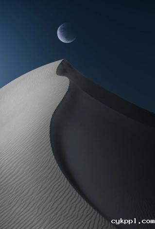 以高于生活的视角观看，感知生命荣枯与四季轮回