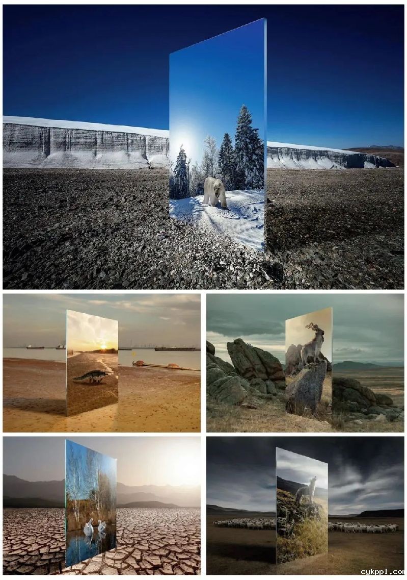 以高于生活的视角观看，感知生命荣枯与四季轮回