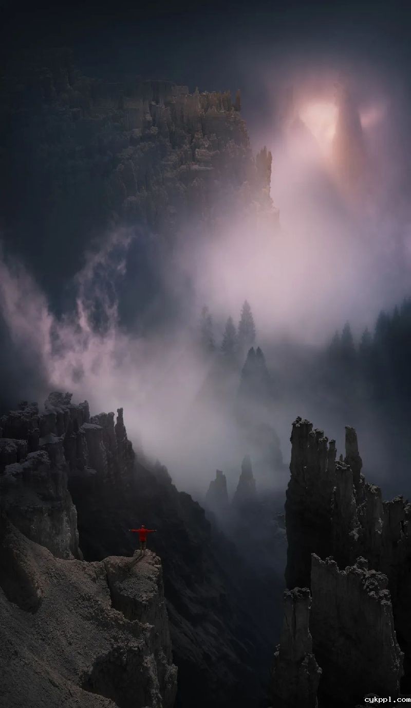 以高于生活的视角观看，感知生命荣枯与四季轮回