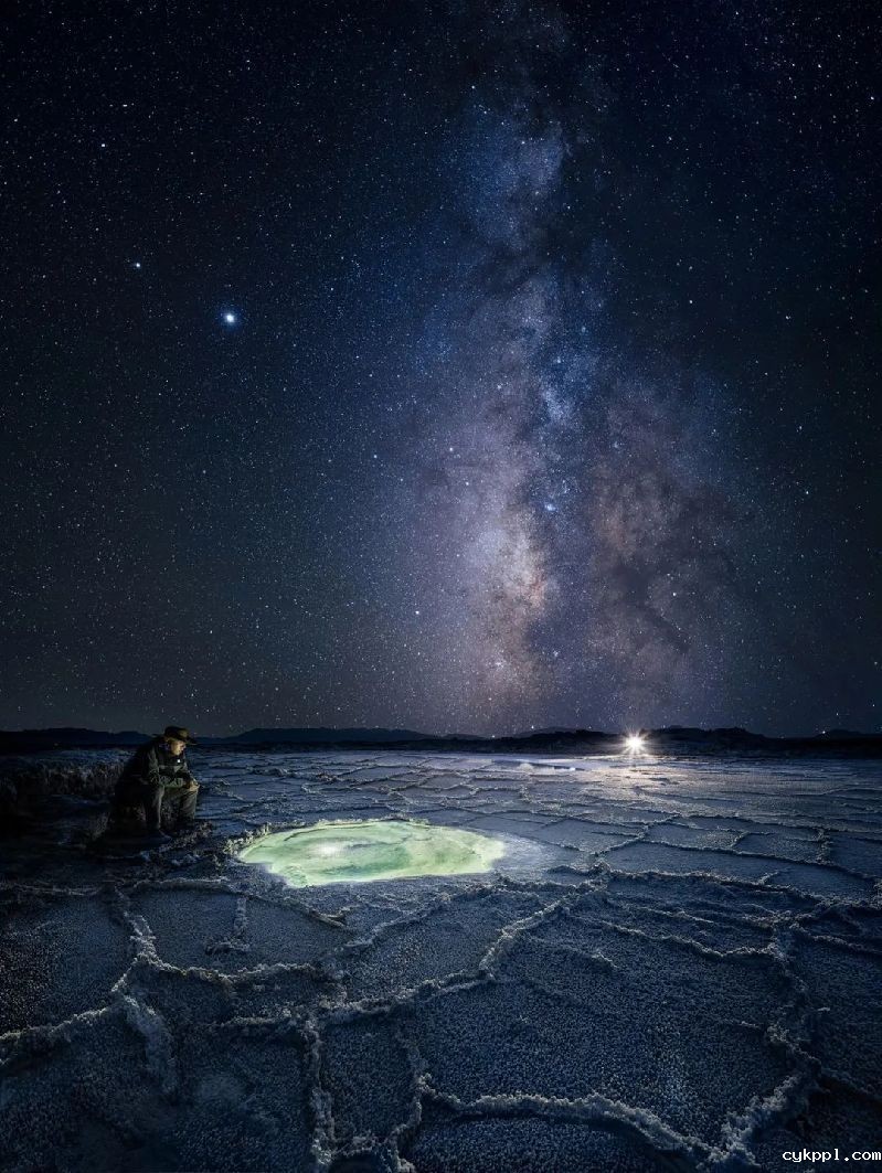 以高于生活的视角观看，感知生命荣枯与四季轮回