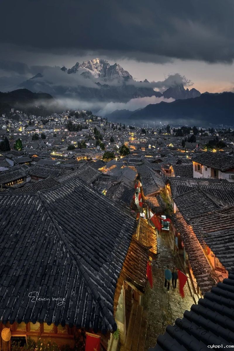 以高于生活的视角观看，感知生命荣枯与四季轮回