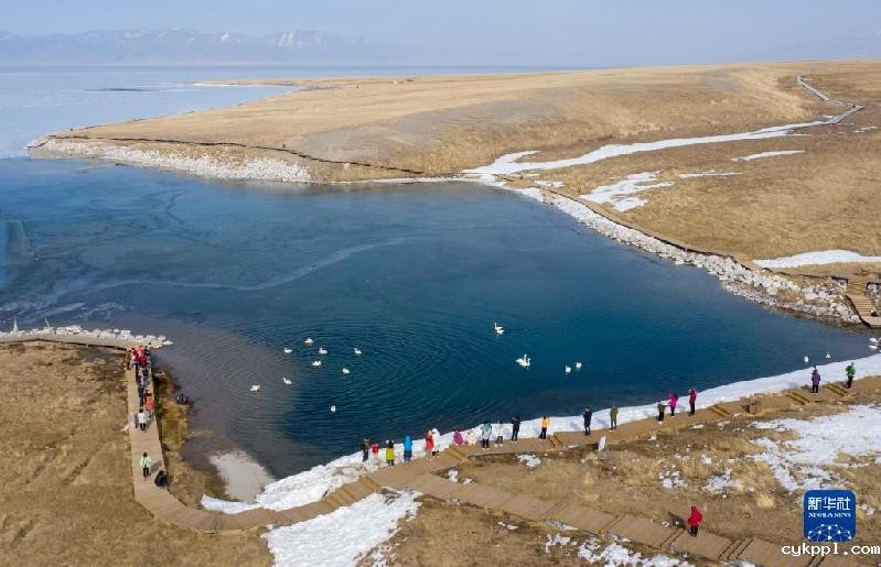 国道之行 从雪山奔向大海丨在赛里木湖邂逅蓝色“眼泪”