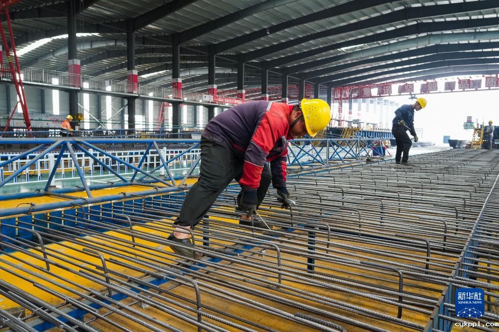 黄茅海跨海通道建设进展顺利